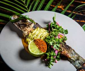 Whole fish with palm frond